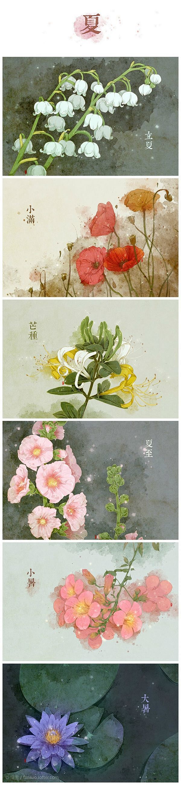 节气之美：二十四节气花卉图 - 图片