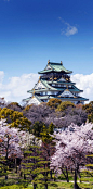 大阪城 天守閣 (Osaka Castle), 大阪市, 大阪府, 日本. Osaka Castle, Japan // travel