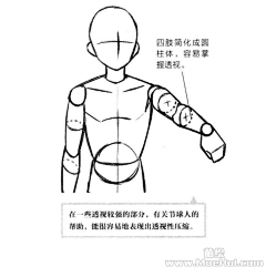 樱花鹿儿采集到线 人体