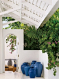 Ralph Lauren's Home Jamaica...love the jars: 