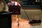 美国海报突击队队员SEAL Jon Tumilson的棺材，他的狗在旁静静守护着自己的主人.