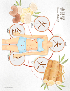 Lin林曦采集到中医养生