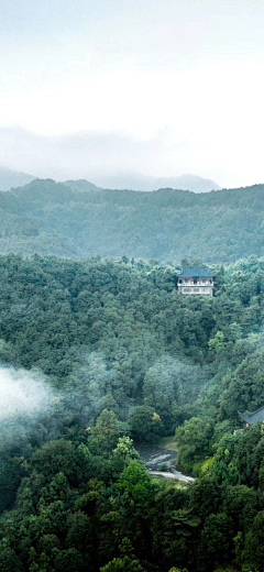 Cheer丨雨水一盒°采集到手机壁纸  >>>