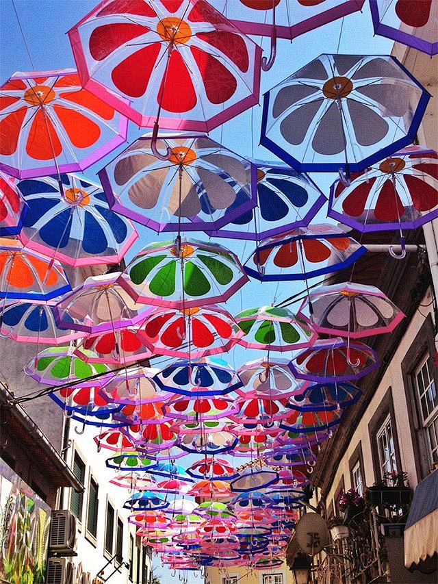 A Colorful Canopy of...