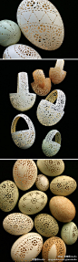 绝美蕾丝蛋雕 -   手工雕刻的维多利亚时代的花边鸡蛋！
