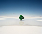 THE SALT FLATS OF BOLIVIA