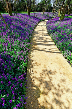 幻想鄉的影儿采集到花草庭院