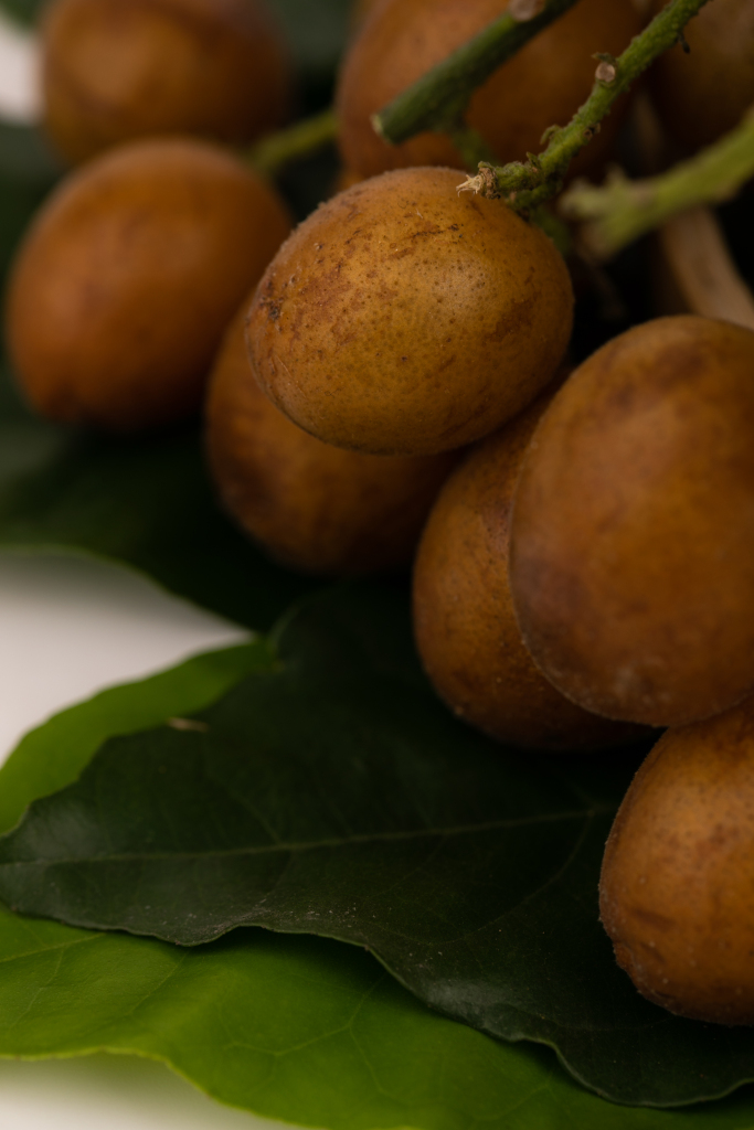 3a3fbe0b0bd2620deedaeae8b9cee13078b0fdad5320f-kRBKth