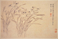 清 惲壽平 水仙
惲壽平（1633-1690），江蘇武進人，初畫山水，後自覺無力與王翬（1632-1717）爭勝，而專攻花卉，為清代花卉畫宗師。

本幅選自〈花卉山水合冊〉，仿宋代擅畫水仙的宗室畫家趙孟堅（1199-1264）風格，所用的白描技法與只用顏料不加墨線的沒骨畫法恰恰相反，全以墨線描畫，微染墨暈，不添加任何色彩。畫幅上有清四大家之一王翬品評比對的題字，認為趙孟堅的水仙神韻清逸，惲壽平的水仙則筆有餘妍，各有特色。