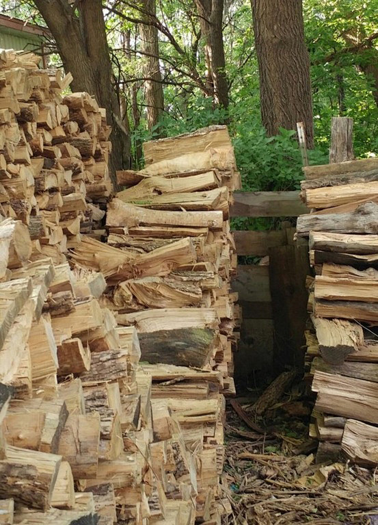 Cat in Logs. Can you...