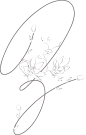 唯美婚礼素描字母花卉植物海报请柬装饰免抠PNG元素图案PS合集 (236)