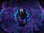 Logitech G502 X PLUS RGB gaming mouse has the company’s first LIGHTFORCE hybrid switches