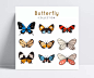 9款精美蝴蝶设计矢量素材|蝴蝶设计,蝴蝶,昆虫,矢量图,AI格式,含JPG预览图。,矢量素材