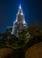 Photograph Burj Khalifa Over The Trees, Dubai by Fahad Afrooz on 500px