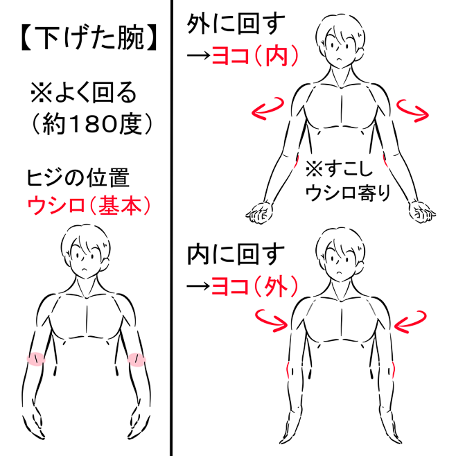 结构、手臂、张开手