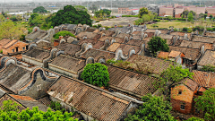 岱岱岱采集到深圳