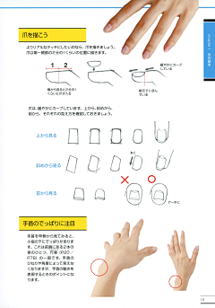 空池Konci采集到R手与脚