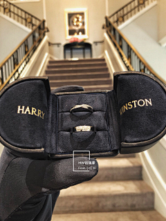 dengfenglaidengfenglai采集到Harry Winston