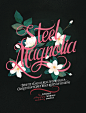 Baltimore Magazine - Steel Magnolia on Typography Served