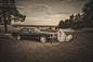 Robert Zembrzycki在 500px 上的照片Mustang Wedding photoshoot ;)