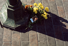 AllinWang采集到影像-Vivian Maier-Color