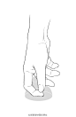 手的各种角度姿势之提（下）