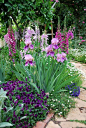 Flower garden in shades of purple