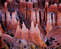 Beautiful hoodoos at first light in Bryce Canyon National Park. Interestingly, Bryce Canyon isn't actually a canyon at all..it is an amphitheater composed of these alien-like formations known as hoodoos. It's easy to see why old Ebenezer Bryce, for whom t