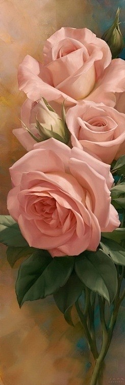 Pink Roses