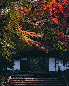 麦斯威尔小巷采集到风景