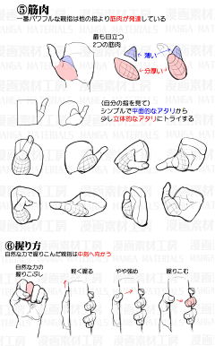 -胡苗苗采集到人体结构