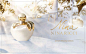 Nina Ricci白雪公主限量版淡香水——Nina Ricci Snow Princess Edition EPT是一款有着浓烈节日气氛的限量版香水。闪烁如冰霜的瓶身，配上优雅的金色瓶盖。雪白而闪亮的外盒包装着Snow Princess Edition EPT，就像Nina公主躲在一扇开启的窗户背后，配上漂亮的雪花及金色叶子图案，更散发出浪漫的感觉。
前调：卡布里亚柠檬、青柠
中调：太妃苹果、牡丹、月光花、杏仁糖
基调：苹果木、白麝香