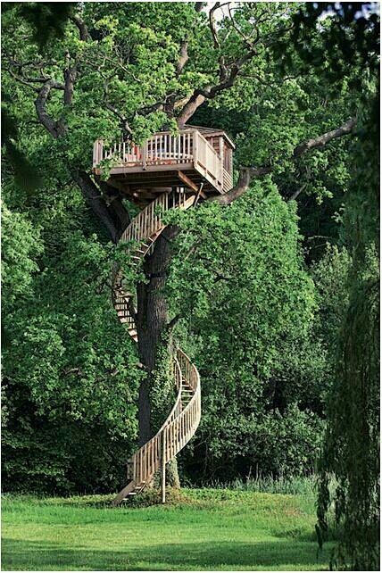 Fancy Tree house wit...