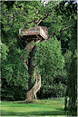 Fancy Tree house with winding staircase: