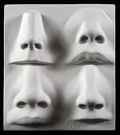 Human Nose Sculpting...