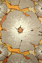 Floral - White, Grey, Brown, Terracotta, Orange, Yellow,