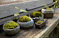 Moss container gardens. I NEED TO LEARN HOW TO DRILL STONES AND WANT TO DO THIS!!