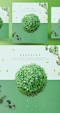 植物球 浅绿背景 绿色植物主题海报PSD_平面设计_海报