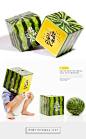 龍井西瓜 | 存在設計 @ Design Group curated by Packaging Diva PD.  Have you heard about square watermelons for the fridge? Here is some packaging for them.