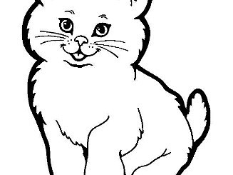 猫的简笔画