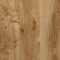 原木木纹3D材质贴图3d材质贴图|jpg|材质|横切面|木材贴图|木头|木头年轮纹理|木纹|木纹背景|木质|年轮|摄影|纹理|纹理背景