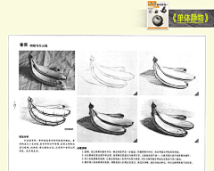 紫瓣儿采集到手绘