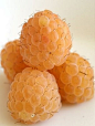 Golden-Raspberries