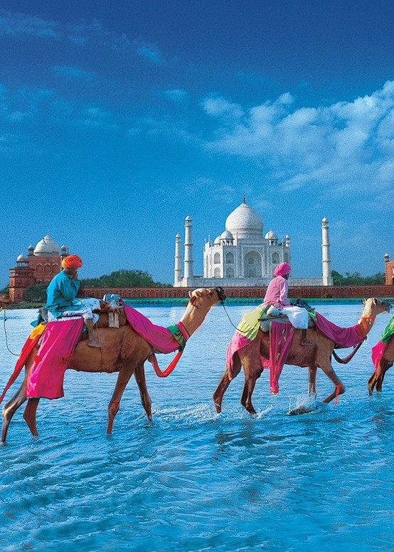 彩色印度，哇哦~~