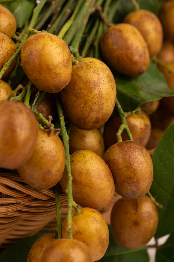 3b4c741bb13c7c5a761380f61a200a911c29b37382e35-HTKsBk