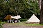 在丛林周围的露营地搭建家庭帐篷