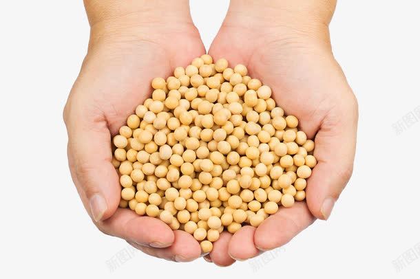 3b6f876cebaafae0980bbcbc1451fbbec3d39b5070ab-L5TMPF