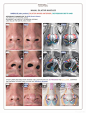 Head & Neck Anatomy book - MUSCLES - Estimated completion of this book is April 2016.