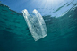 海洋透明垃圾袋_百度图片搜索