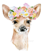 Deer Fawn with Flowers watercolor giclée reproduction. Portrait/vertical…: 